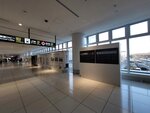 08102025_Samsung Galaxy Note Ultra 20_31 round to Hokkaido_New Chitose International Airport00011