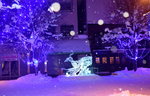 10022019_Nikon D5300_20 Round to Hokkaido_Asahikawa Winter Festival00031