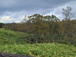 10102025_Samsung Galaxy Note 20 Ultra_31 round to Hokkaido_Shiretoko_Shiretoko Goko00009