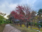 10102025_Samsung Galaxy Note Ultra 20_31 round to Hokkaido_Abashiri Prison Museum00132
