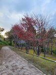 10102025_Samsung Galaxy Note Ultra 20_31 round to Hokkaido_Abashiri Prison Museum00133