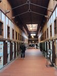 10102025_Samsung Galaxy Note Ultra 20_31 round to Hokkaido_Abashiri Prison Museum00161