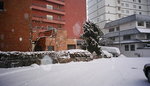 2005 February_Hokkaido Yuki Matsuri_洞爺湖萬世閣酒店00013