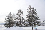 11022017_Hokkaido Tour 2017_Day Three_Asahikawa Snow Crystal Museum00038