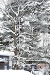 11022019_Nikon D5300_20 Round to Hokkaido_Way to Snow Crystal Museum00001