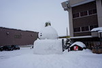 11022019_Sony A6000_20 Round to Hokkaido_Otokoyama Sake Zukuri00026