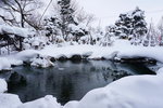 11022019_Sony A6000_20 Round to Hokkaido_Otokoyama Sake Zukuri00034