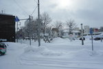 11022019_Sony A6000_20 Round to Hokkaido_Way to Otokoyama Sake Zukuri00050