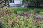 11102025_Canon EOS 5Ds_31 round to Hokkaido_Abashiri Tsuruga Hotel Morning00120
