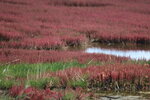 11102025_Canon EOS 5Ds_31 round to Hokkaido_Notoroko Sangosou00025