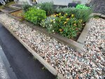 11102025_Samsung Galaxy Note 20 Ultra_31 round to Hokkaido_Abashiri Morning00147