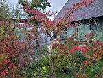11102025_Samsung Galaxy Note 20 Ultra_31 round to Hokkaido_Abashiri Morning_Hokuten no Oka Tsuruga Hotel00034