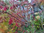 11102025_Samsung Galaxy Note 20 Ultra_31 round to Hokkaido_Abashiri Morning_Hokuten no Oka Tsuruga Hotel00035