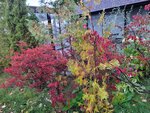11102025_Samsung Galaxy Note 20 Ultra_31 round to Hokkaido_Abashiri Morning_Hokuten no Oka Tsuruga Hotel00037