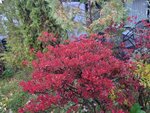 11102025_Samsung Galaxy Note 20 Ultra_31 round to Hokkaido_Abashiri Morning_Hokuten no Oka Tsuruga Hotel00038