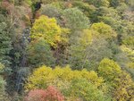 11102025_Samsung Galaxy Note 20 Ultra_31 round to Hokkaido_Sounkyo Mt Kurodake Cable Car00063