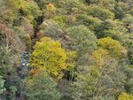 11102025_Samsung Galaxy Note 20 Ultra_31 round to Hokkaido_Sounkyo Mt Kurodake Cable Car00064