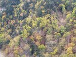 11102025_Samsung Galaxy Note 20 Ultra_31 round to Hokkaido_Sounkyo Mt Kurodake Cable Car00068