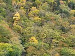 11102025_Samsung Galaxy Note 20 Ultra_31 round to Hokkaido_Sounkyo Mt Kurodake Cable Car00069