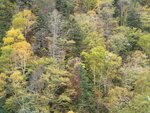 11102025_Samsung Galaxy Note 20 Ultra_31 round to Hokkaido_Sounkyo Mt Kurodake Cable Car00070