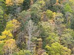 11102025_Samsung Galaxy Note 20 Ultra_31 round to Hokkaido_Sounkyo Mt Kurodake Cable Car00071