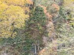 11102025_Samsung Galaxy Note 20 Ultra_31 round to Hokkaido_Sounkyo Mt Kurodake Cable Car00073