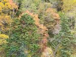 11102025_Samsung Galaxy Note 20 Ultra_31 round to Hokkaido_Sounkyo Mt Kurodake Cable Car00074