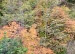 11102025_Samsung Galaxy Note 20 Ultra_31 round to Hokkaido_Sounkyo Mt Kurodake Cable Car00075