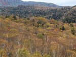 11102025_Samsung Galaxy Note 20 Ultra_31 round to Hokkaido_Sounkyo Mt Kurodake Cable Car00078