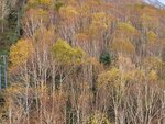 11102025_Samsung Galaxy Note 20 Ultra_31 round to Hokkaido_Sounkyo Mt Kurodake Cable Car00082