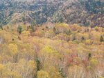 11102025_Samsung Galaxy Note 20 Ultra_31 round to Hokkaido_Sounkyo Mt Kurodake Cable Car00083
