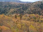 11102025_Samsung Galaxy Note 20 Ultra_31 round to Hokkaido_Sounkyo Mt Kurodake Cable Car00084
