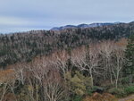 11102025_Samsung Galaxy Note 20 Ultra_31 round to Hokkaido_Sounkyo Mt Kurodake Cable Car00091