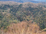 11102025_Samsung Galaxy Note 20 Ultra_31 round to Hokkaido_Sounkyo Mt Kurodake Cable Car00099
