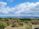 11102025_Samsung Galaxy Note 20 Ultra_31 round to Hokkaido_Tentozan00019