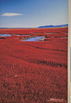 11102025_Samsung Galaxy Note 20 Ultra_31 round to Hokkaido_Tentozan00036