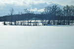 12022019_Nikon D5300_20 Round to Hokkaido_Way to Lily Park00040