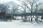 12022019_Nikon D5300_20 Round to Hokkaido_Way to Lily Park00041