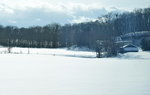 12022019_Nikon D5300_20 Round to Hokkaido_Way to Lily Park00044