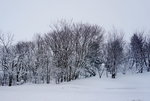 12022017_Hokkaido Tour 2017_Day Four_Outside Shiretoko Museum000030