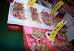 12012009_Hokkaido Tour_Sea Food Market00012