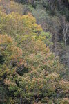 12102025_Canon EOS 5Ds_31 round to Hokkaido_Biei_Shirahige no Taki00046