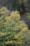 12102025_Canon EOS 5Ds_31 round to Hokkaido_Biei_Shirahige no Taki00047