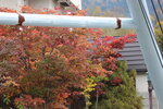 12102025_Canon EOS 5Ds_31 round to Hokkaido_Biei_Shirahige no Taki00060