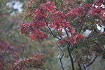 12102025_Canon EOS 5Ds_31 round to Hokkaido_Way Back to Sapporo00013