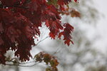12102025_Canon EOS 5Ds_31 round to Hokkaido_Way Back to Sapporo00017