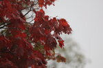 12102025_Canon EOS 5Ds_31 round to Hokkaido_Way Back to Sapporo00018