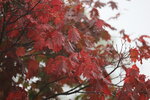 12102025_Canon EOS 5Ds_31 round to Hokkaido_Way Back to Sapporo00019