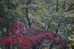 12102025_Canon EOS 5Ds_31 round to Hokkaido_Way Back to Sapporo00028