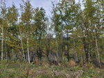 12102025_Samsung Galaxy Note 20 Ultra_31 round to Hokkaido_Biei_Aoi Ike00005